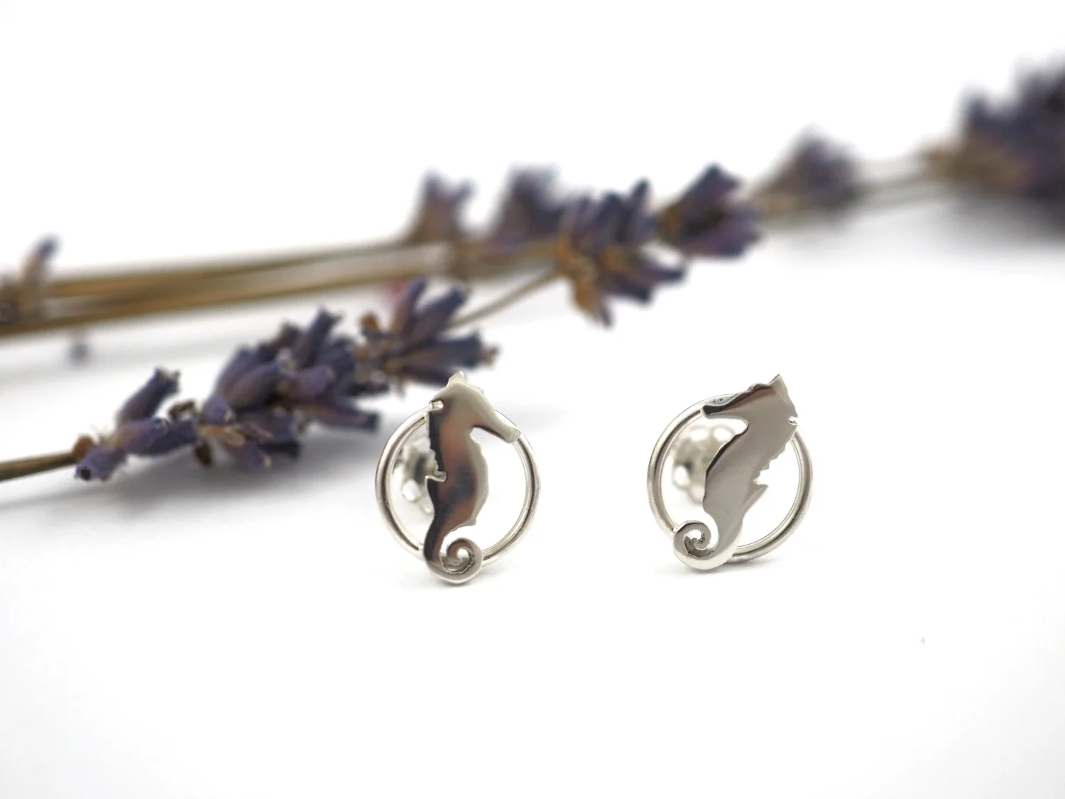 Kolczyki koniki morskie