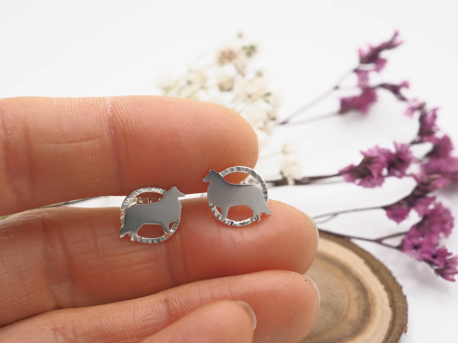 Kolczyki owczarek szkocki collie